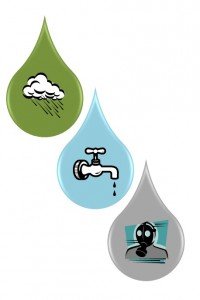 Total Water Footprint consists of green water, blue water, and gray water
