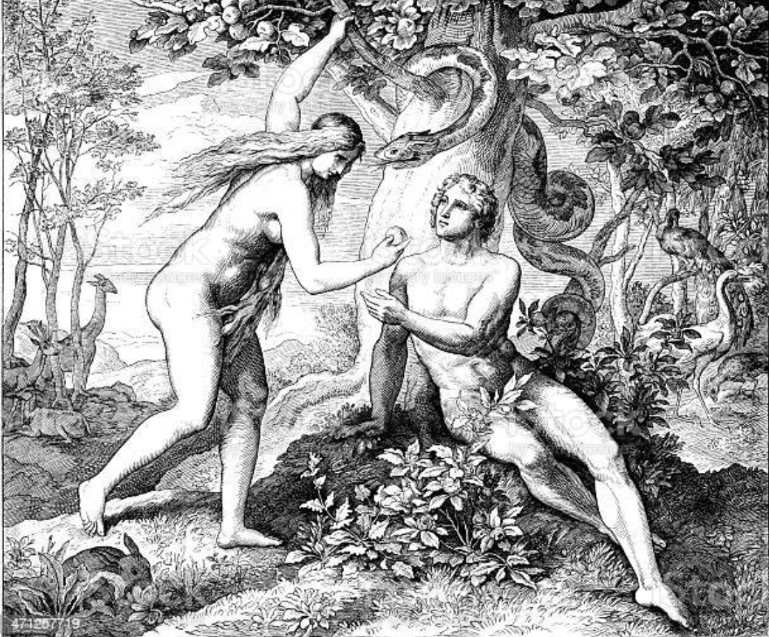 I finally begin to understand the story of Adam and Eve | The Millennial  Star